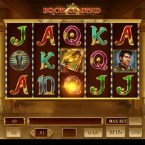 Simba Games - Book of Dead Slot Game - Play'n GO